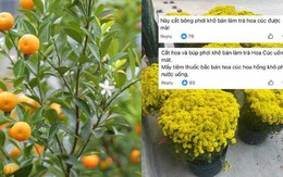 Chớ dại mà tận dụng những thứ này sau Tết kẻo ngộ độc, rước họa vào thân