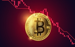 Thị trường tiền số hôm nay, 23-2: Áp lực chưa dứt với Bitcoin