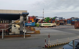 Chủ động thích ứng với chính sách thuế mới