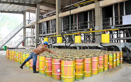 Hóa chất Đức Giang (DGC) 'bốc đầu' sau vụ nổ lớn tại một công ty sản xuất phốt pho vàng