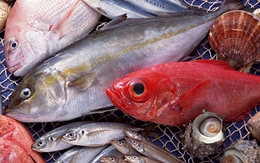 Cảnh báo: 5 loại cá có nguy cơ nhiễm kim loại nặng cao, ăn nhiều có thể hại sức khỏe