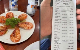Mạng xã hội tranh luận về dĩa tôm 300.000 đồng ở Phú Quốc dịp Tết