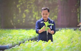 Anh kỹ sư lập trình bỏ phố về quê, xây 'resort 5 sao' cho rau, thu hút 10.000 người đến