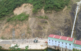 Doanh nghiệp của Chủ tịch Trương Đình Lam báo lãi ròng giảm sâu trong năm 2025