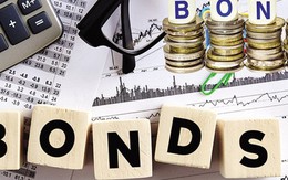 Doanh nghiệp bất động sản 'gần 1 tuổi' huy động thành công gần 80 tỷ đồng trái phiếu