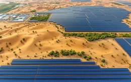 Điện mặt trời biến sa mạc thành đất xanh