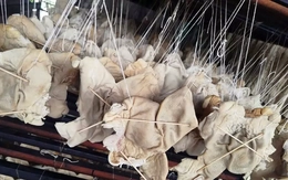 Hơn 55 tấn lòng, dạ dày và chân gà không rõ nguồn gốc trong kho doanh nghiệp ở Hải Phòng