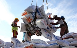 Nước ASEAN nói dừng nhập gạo nhưng giờ lại bất ngờ tính mua gạo Mỹ