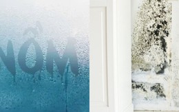 Kinh hoàng: Nấm mốc âm thầm "làm ổ" trong 7 thứ quen thuộc, mùa nồm đến là sinh sôi như vũ bão