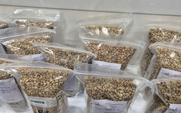 Giá cà phê hôm nay 27-2: Đi lùi, thị trường sắp cân bằng?