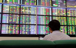 Nóng: UBCKNN rà soát tư cách công ty đại chúng, loạt doanh nghiệp tỷ USD PV GAS, BSR, ACV, BID,... vào "tầm ngắm"