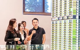 Dòng tiền bất động sản sẽ “rót mạnh” vào khu vực nào trong năm Bính Ngọ?