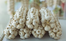 Gia vị dân dã của Việt Nam trồng tại nơi đặc biệt trở thành "vàng trắng": Giá đến 1,5 triệu đồng/kg