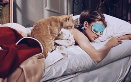 Bí quyết "hack tuổi" của giới siêu giàu: Mặc đồ ngủ gốm sinh học nuôi mộng trường sinh bất lão