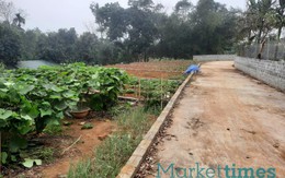 Hướng dẫn cách người dân phán ánh vi phạm đất đai qua đường dây nóng