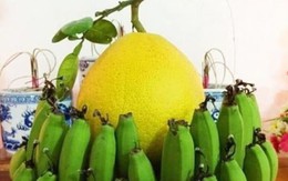 Cảnh báo đặc biệt tới các gia đình đang bày bưởi ngày Tết