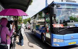 Thông tin nóng người hay đi xe buýt ở TP.HCM cần biết