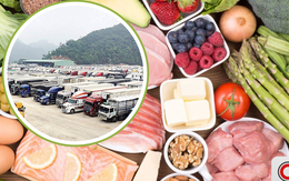 Doanh nghiệp lưu ý: Những điểm mới về điều kiện đảm bảo an toàn thực phẩm theo Nghị định 46/2026/NĐ-CP