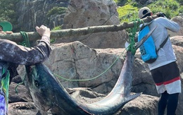 Người đàn ông Đà Nẵng câu được "thủy quái" nặng 63kg, phải khiêng hơn 300m đường núi để đưa lên bờ