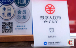 Quốc gia đầu tiên cho phép tiền kỹ thuật số sinh lời: Số dư càng nhiều, lãi càng cao, 230 triệu ví cá nhân đã tham gia