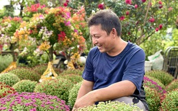 Hoa Tết TP.HCM bán chạy, nhiều nhà vườn 'cháy' hàng sớm