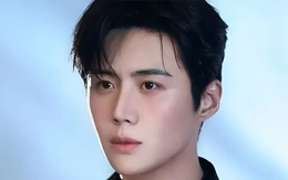 Mỹ nam Hàn Quốc thừa nhận trốn thuế