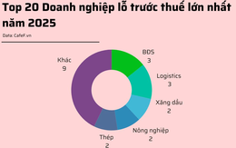 20 doanh nghiệp lỗ trước thuế lớn nhất năm 2025: HAGL Agrico lỗ gần 1.000 tỷ, bất động sản, logistics chiếm sóng