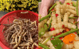 Chi nửa triệu mua rổ "sâu đất" về trộn gỏi: Tưởng màn review kinh dị, ai ngờ thành phẩm khiến 200 nghìn người phải "nuốt nước miếng"