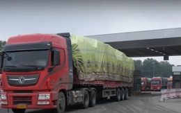 Chính thức: Tạm dừng áp dụng Nghị định 46 về an toàn thực phẩm đến hết ngày 15/4/2026