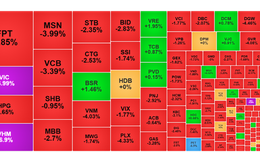 Chứng khoán ngày 5/2: VN-Index giảm 8 điểm