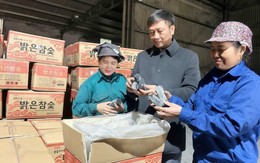 Ông chủ Bắc Ninh thu 40 tỷ đồng/năm nhờ biến cành củi khô thành thỏi 'vàng đen' không khói