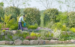 Nghỉ hưu ở tuổi 57, giám đốc mang 5 tỷ đồng về quê dưỡng già, 58 tuổi lại tìm đường ra thành phố: “Tôi không thể chịu nổi”