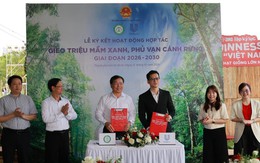 Từ kỷ lục Guinness đến 1 triệu cây xanh: Unilever và chiến lược "hồi sinh" rừng Việt Nam