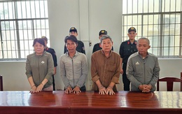 Thi hành lệnh bắt tạm giam, khám xét nơi ở của Lâm Thị Hồng Hạnh