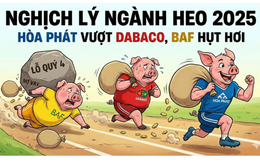 Cứ 100 đồng tài sản, Nông nghiệp Hòa Phát thu về 34 đồng lãi, hiệu suất "không đối thủ" khiến Dabaco và BAF phải hít khói