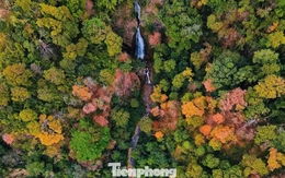 'Tuyệt đối điện ảnh' bằng lăng Măng Đen mùa thay lá