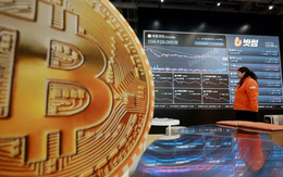 Hàn Quốc ứng phó khẩn với vụ chuyển nhầm 620.000 bitcoin