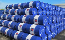 Hóa dầu Petrolimex lỗ ròng hơn 85 tỷ đồng trong quý IV/2025, lợi nhuận năm giảm mạnh