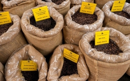 Chỉ trong 1 tháng đầu năm, "vàng nâu" giúp Việt Nam thu về hơn một tỷ USD, hơn 80 nước ồ ạt đặt mua