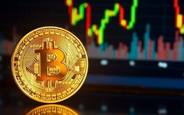 Lịch sử cho thấy Bitcoin và tài sản rủi ro thường suy yếu theo chu kỳ 4 năm, 2026 có lặp lại kịch bản cũ?