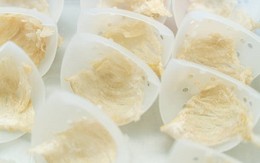 Lần đầu trong lịch sử, Campuchia chuẩn bị đưa một sản vật sang Trung Quốc