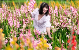 Vườn hoa lay-ơn nở muộn bất ngờ trở nên rất hot ở Đà Lạt