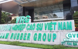 Một số công ty con của GVR thua lỗ, rủi ro mất vốn nhà nước