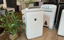 Món đồ hot nhất lúc này, đại lý nhập gấp 10 lần vẫn không kịp bán