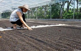 Việt Nam đón thêm tin vui từ Mỹ