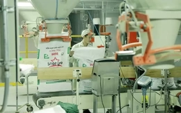 Doanh nghiệp sản xuất trước áp lực xăng dầu, tỷ giá bật tăng