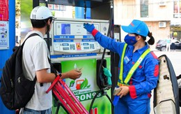 Petrovietnam kiến nghị Chính phủ dừng xuất khẩu dầu thô để ưu tiên thị trường trong nước