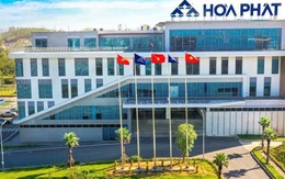 Con trai Chủ tịch Trần Đình Long muốn ‘gom’ 50 triệu cổ phiếu HPG