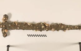 Đuổi trộm ngoài bờ biển, cậu sinh viên nhặt được báu vật