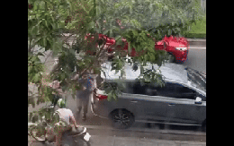 Va quẹt giao thông, rượt đuổi 'đánh hội đồng' tài xế ô tô ở TPHCM